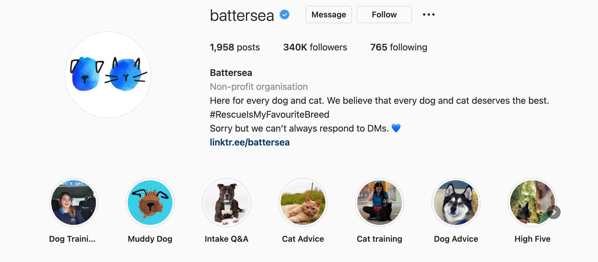 Battersea charity Instagram story highlights